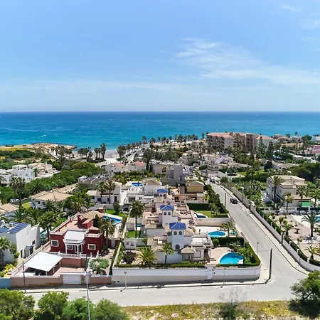 Amazing * Orihuela